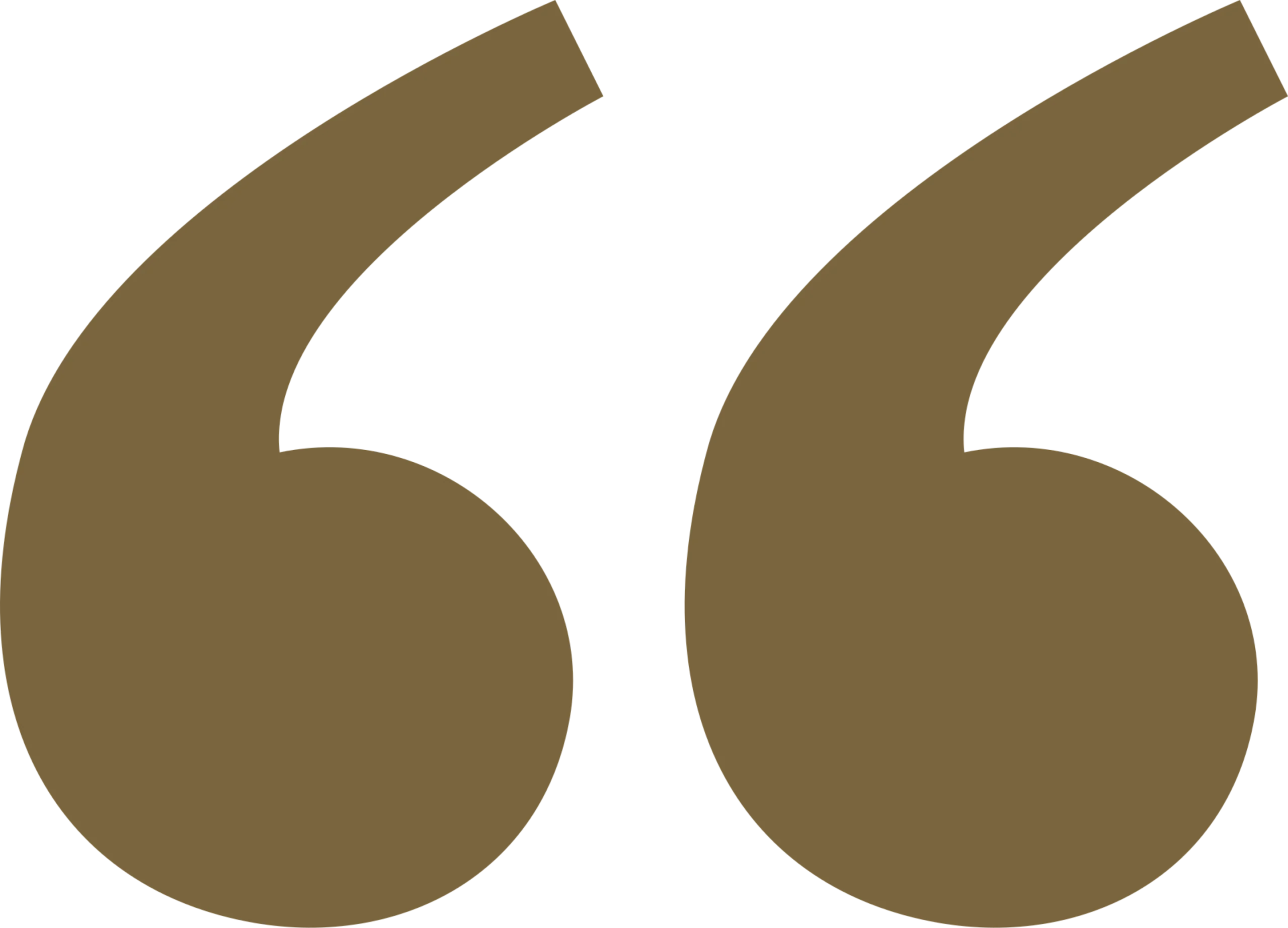 ava_businessreportage250345